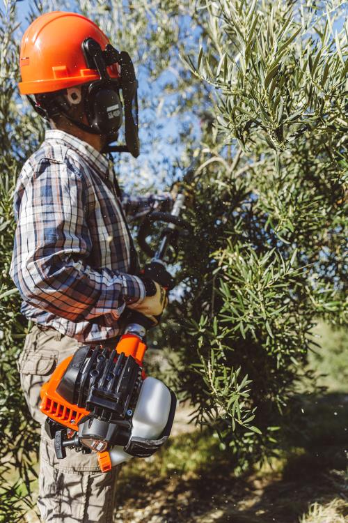 Echo X-Series Power Pruner with telescopic shaft PPT-2620HES - PAS-2620ES-MTA-PP-2019 (7).jpg